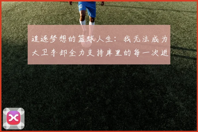 追逐梦想的篮球人生：我无法成为大卫李却全力支持库里的每一次进攻