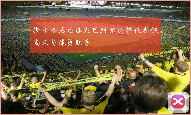 斯卡洛尼已选定巴列尔迪替代者但尚未与球员联系